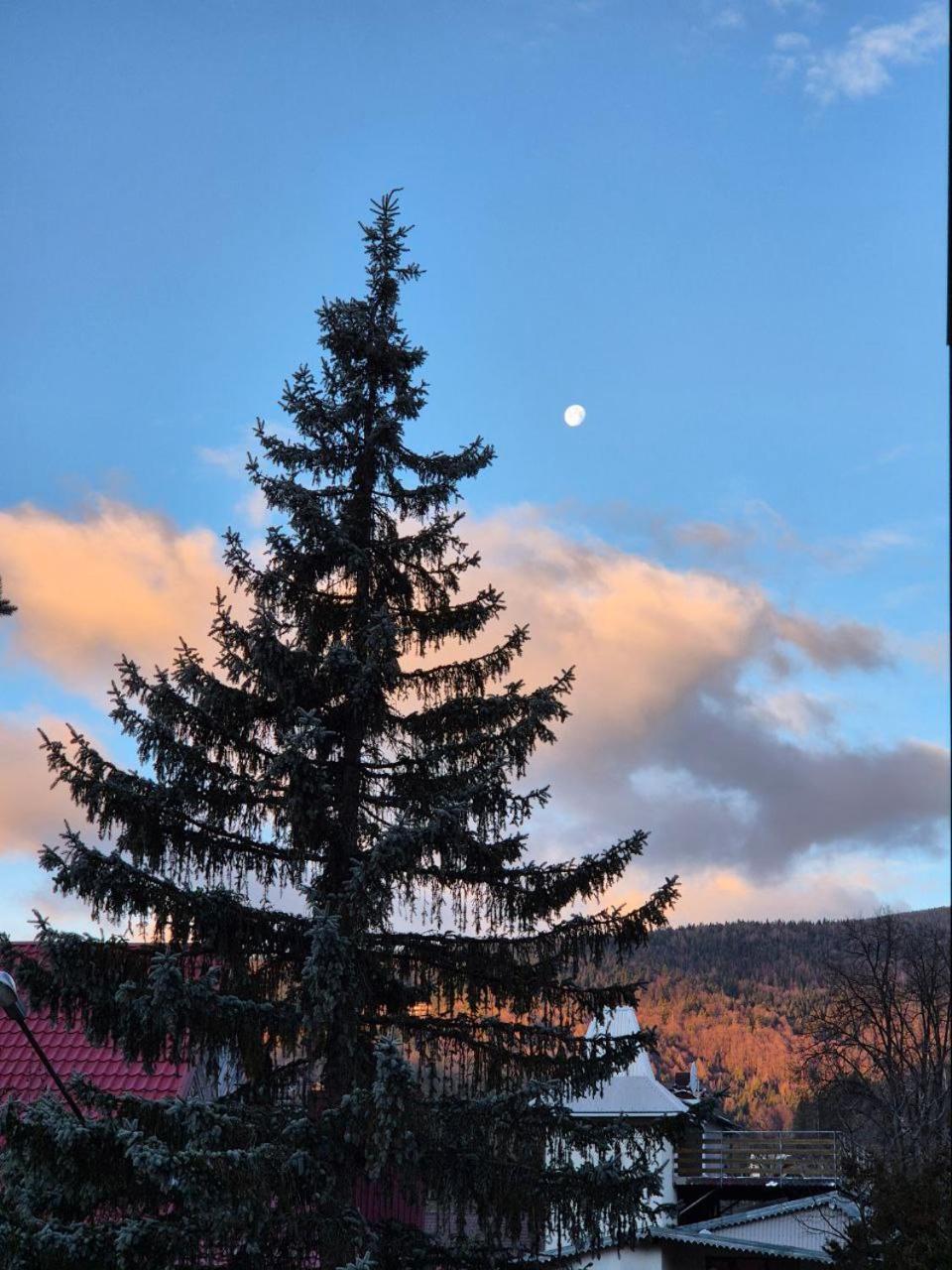Готель "Yaro" Jaremtsche Exterior foto
